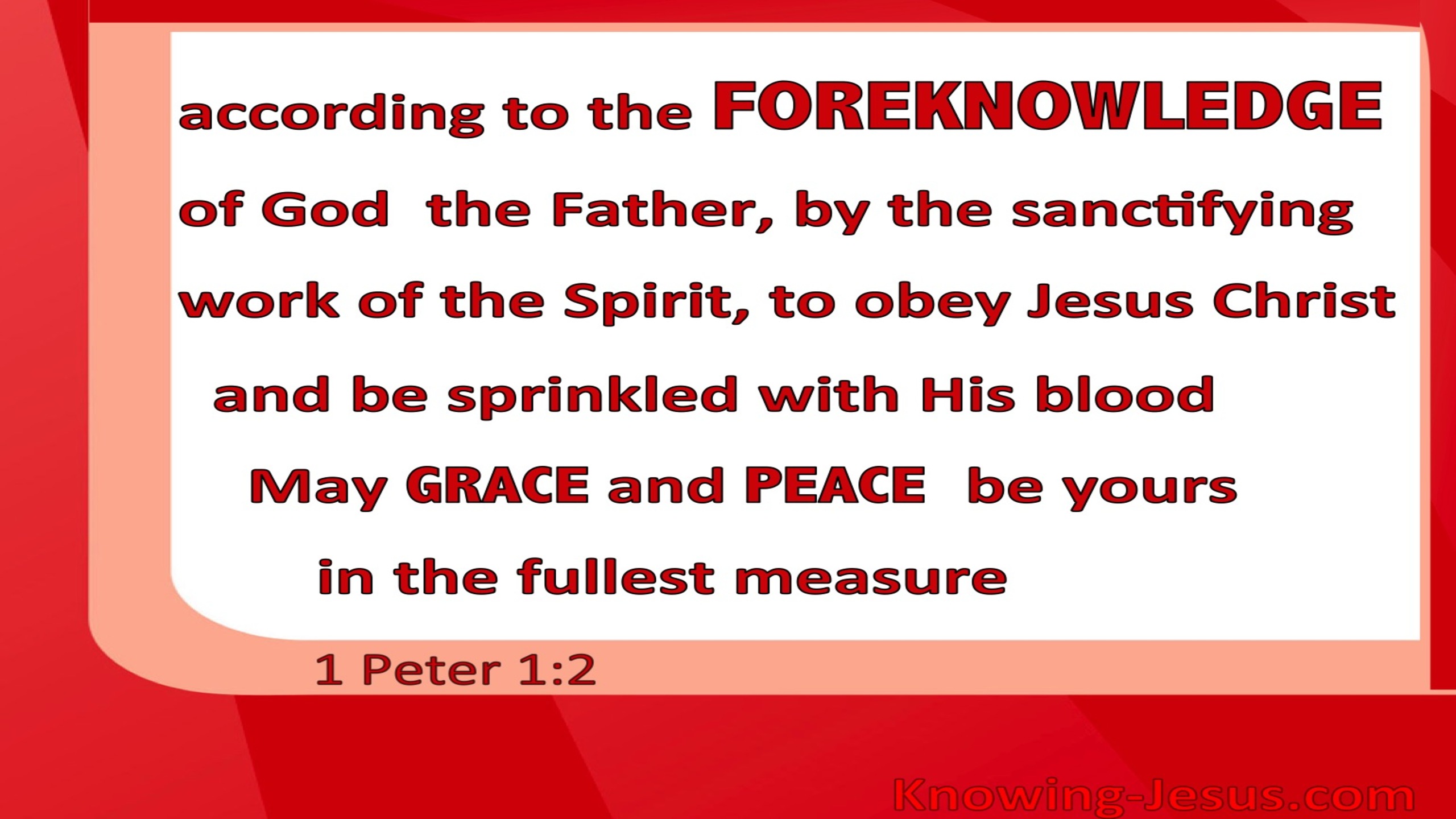 1 Peter 1:2 Elect According To the Foreknowledge of God (red)